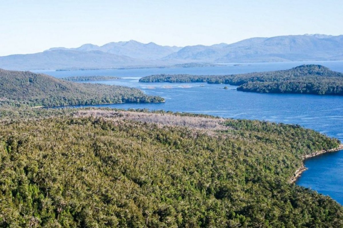 <p>Vendedor detrás de la mega isla chilena en Aysén: “El propietario quiere elegir con pinzas al nuevo dueño”</p>