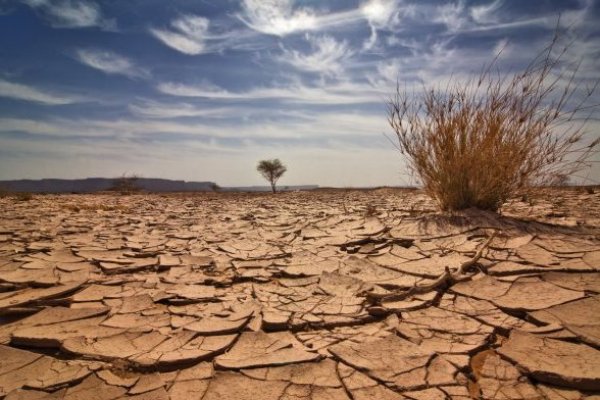 <p> El certamen está dirigido a equipos de máximo seis integrantes, formados por investigadores, profesores, estudiantes o usuarios expertos.</p>