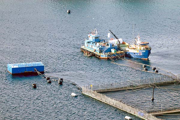 <p>Sofofa y gremios del sur alertan por efectos de Ley Lafkenche en la región de Aysén</p>