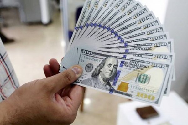 ¿Intervenir o no en el mercado cambiario? El frente a frente de las razones para que actúe o no el Banco Central