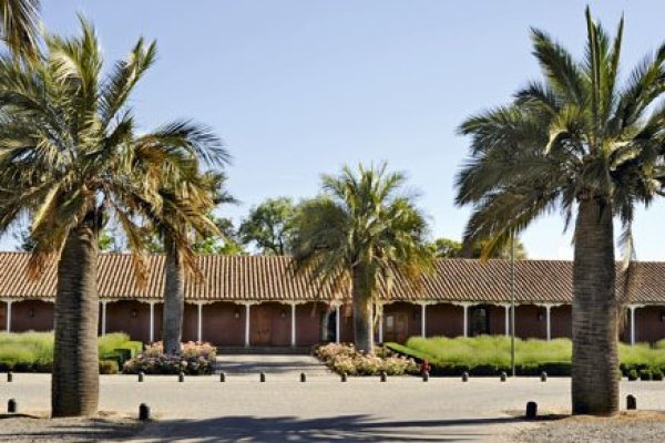 Ventas de Viña Santa Rita alcanzan los $ 163.827 millones y utilidades bajan a $ 1.890 millones en 2023