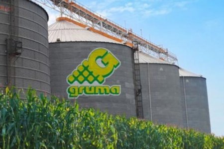 Mexicana Gruma invertirá US$ 46.5 millones para ampliar operación en centro del país