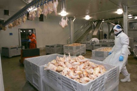 Productores de pollo en Brasil celebran fin de medidas antidumping que China aplicaba a las importaciones desde 2019