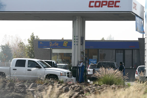 <p>Empresas Copec redujo en 76% sus utilidades por menor resultado operacional en sectores forestal y energía</p>