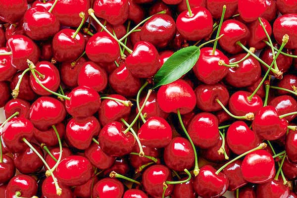 <p>Hectáreas frutícolas plantadas alcanzaron nuevo máximo en 2022</p>