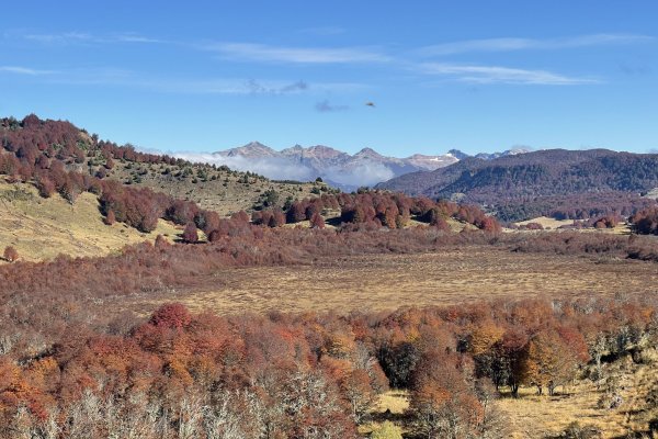 Congreso despacha proyecto de protección ambiental de turberas y queda en condiciones para convertirse en ley