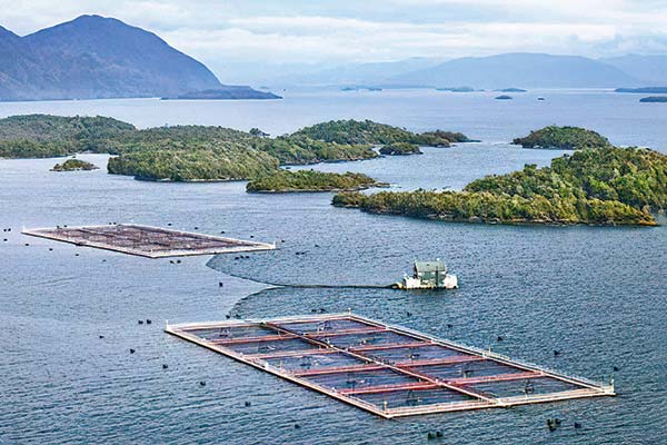 <p>Australis: demanda laboral de exgerente es rechazada, pero tampoco deberá devolver millonarios bonos</p>