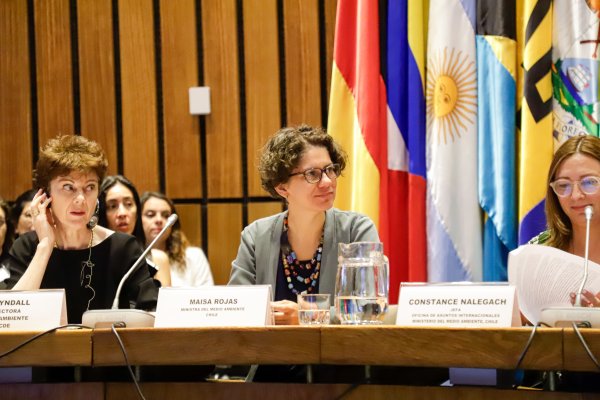 Ministra del Medio Ambiente apunta a profundizar la regulación y la densidad normativa tras nueva evaluación de la OCDE