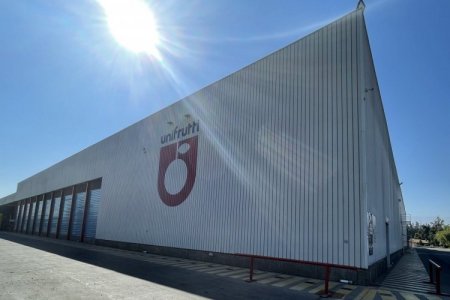Grupo Unifrutti adquiere Bomarea y Avoamerica en Perú como "punto de partida" para su expansión en Latinoamérica