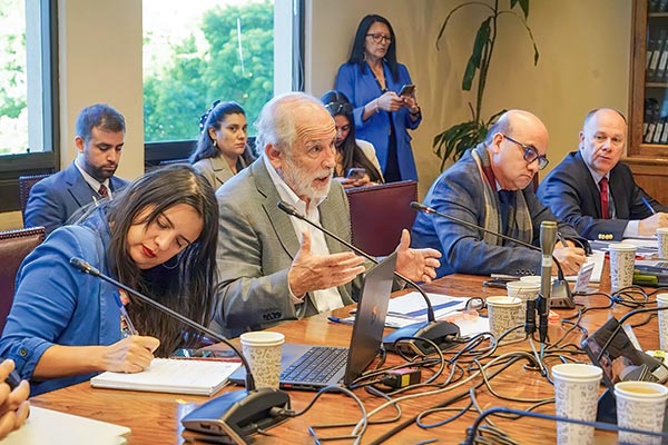 <p>La directora de Presupuestos, Javiera Martínez, expuso junto al ministro de Vivienda, Carlos Montes, en el Congreso.</p>