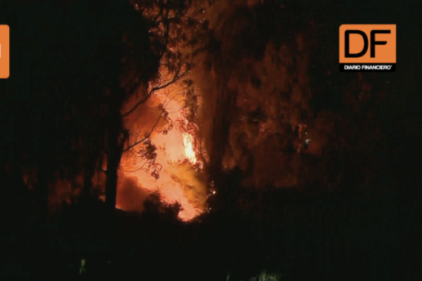 <p>Ahora en DF | Incendios en Valparaíso: Alcalde Sharp asegura que emergencia está en “proceso de control” y aún desconoce número de afectados</p>