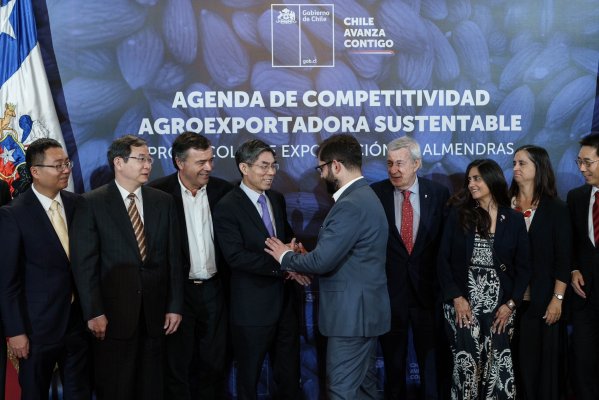 Ingreso de almendras transforma a Chile en el único país que tiene todas sus frutas frescas en el mercado chino