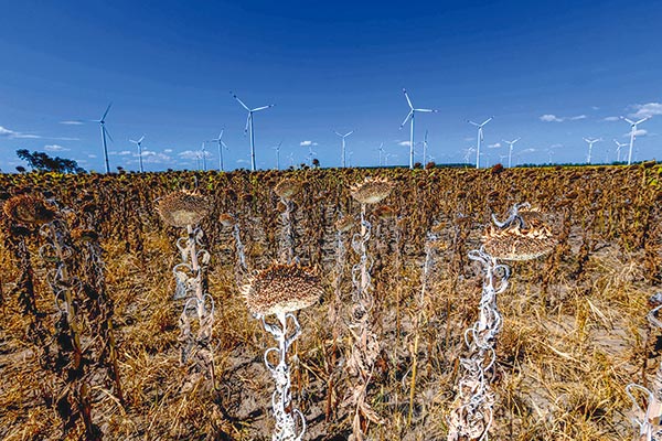 El 2023 fue el año más cálido y cambio climático alcanzó niveles sin precedentes