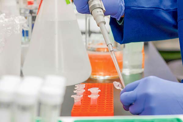 Diputados respaldan paridad en adjudicación de becas y proyectos de investigación