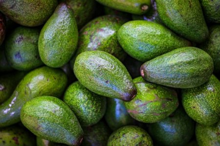 Inversión agrícola emiratí llegaría a Perú de la mano de fondos de inversión