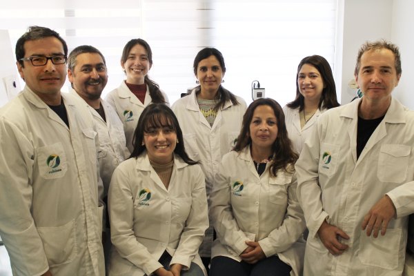 <p>A la izquierda, Felipe Aquea, y parte del equipo de Rubisco.</p>