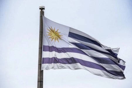 Grandes promesas uruguayas: ¿cuáles son las startups en las que los inversionistas ponen sus fichas?