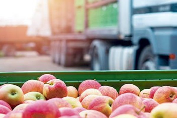 <p>Tras IPC de marzo, valor de la Canasta Básica de Alimentos habría registrado una caída en dicho mes</p>