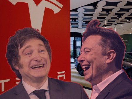 Milei visitará planta de Tesla en Texas y se reunirá con Elon Musk para discutir proyectos de litio en Argentina