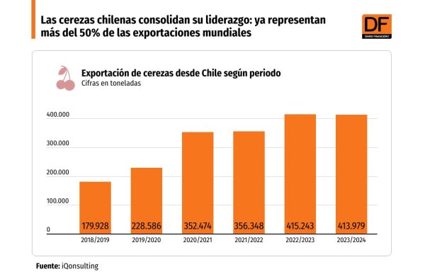 <p>DATA DF | Las cerezas chilenas consolidan su liderazgo: ya representan más del 50% de las exportaciones mundiales</p>