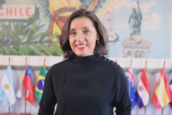 <p>La directora nacional del Inapi, Loreto Bresky.</p>