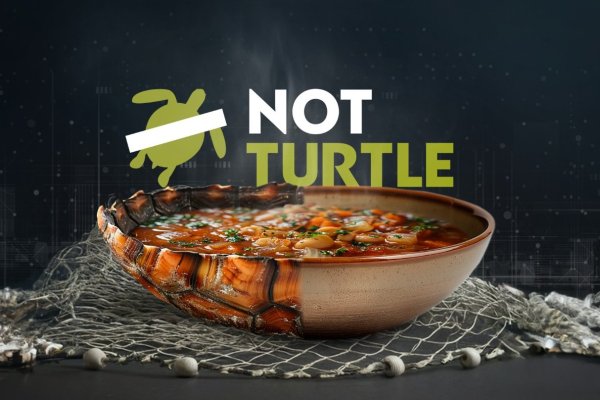 NotCo estrena documental que cuenta cómo logró recrear la sopa de tortuga con inteligencia artificial