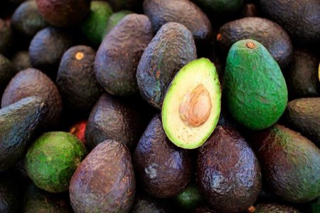 México logra nuevo récord en producción de aguacate y se espera que siga al alza en 2024
