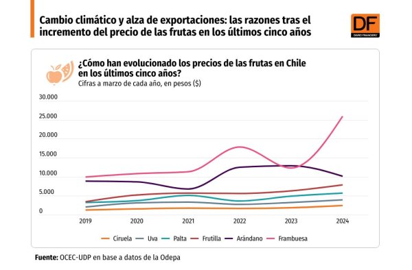 <p>DATA DF | Cambio climático y alza de exportaciones: las razones tras el incremento del precio de las frutas en los últimos cinco años</p>