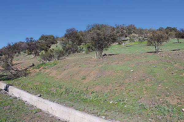Nuevo proyecto inmobiliario en La Dehesa por US$ 30 millones