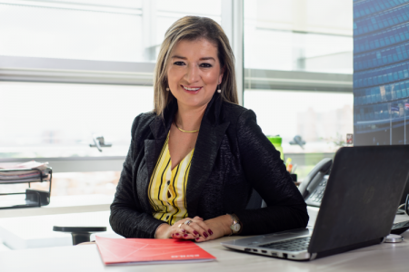 Colombiana Estilo Ingeniería anotó ingresos por US$ 34 millones en 2023: captó el 15% del mercado local