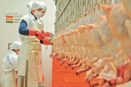 México aumentará compras de pollo desde Estados Unidos con precios dumping