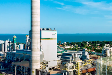 CMPC iniciará estudios para construir nueva planta de celulosa en Brasil por más de US$ 4.500 millones