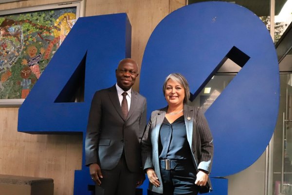 Hitos legislativos y anuncio de nuevo proyecto de equidad salarial: los temas que abordaron Jara y el director general de la OIT