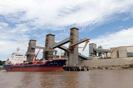 Otro triunfo para Milei: trabajadores de puertos normalizan actividades tras aprobación de reformas económicas en el Congreso
