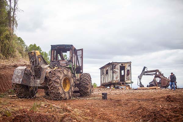 <p>Principales sectores económicos de La Araucanía enfrentan caída en la actividad crediticia</p>