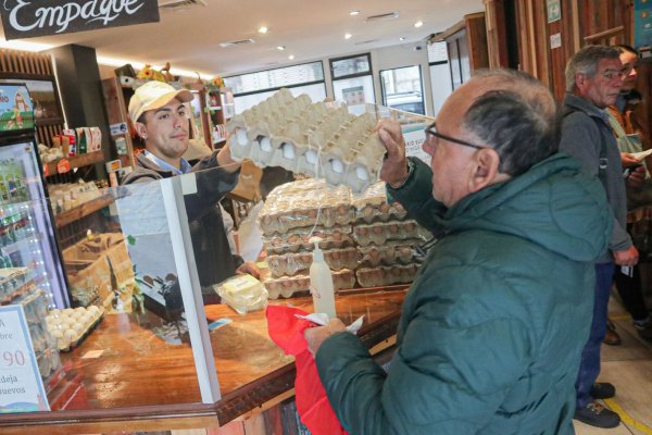 Valor de la Canasta Básica de Alimentos sube 0,3% mensual en abril, de la mano de un alza en el precio de los huevos