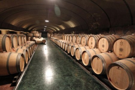 Vino argentino sigue perdiendo terreno frente a Chile: costos logísticos impactan la industria y envíos caen 25,7% en 2023