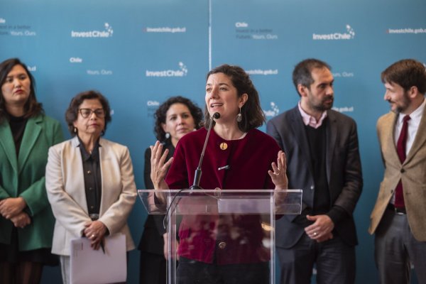 <p>La ministra de Ciencia, Conocimiento, Tecnología e Innovación, Aisén Etcheverry.</p>