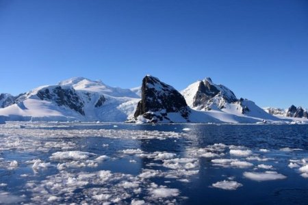 Argentina investiga el hallazgo de Rusia y evalúa un planteo en la cumbre de Tratado Antártico