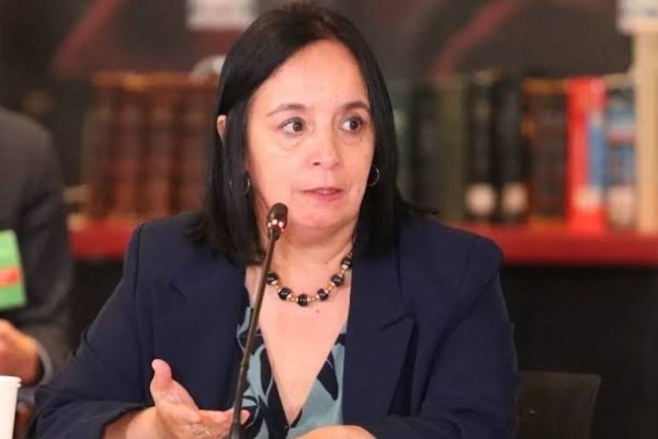 Senadora Carmen Aravena y el impacto de la inseguridad en Macrozona Sur: "Muchas licitaciones quedan desiertas por falta de oferentes"