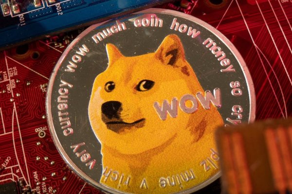 Kabosu, el perro rostro y meme de la criptomoneda Dogecóin, muere a los 18 años