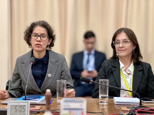 Comisión de Medio Ambiente de la Cámara de Diputados aprueba en general reforma a la SMA