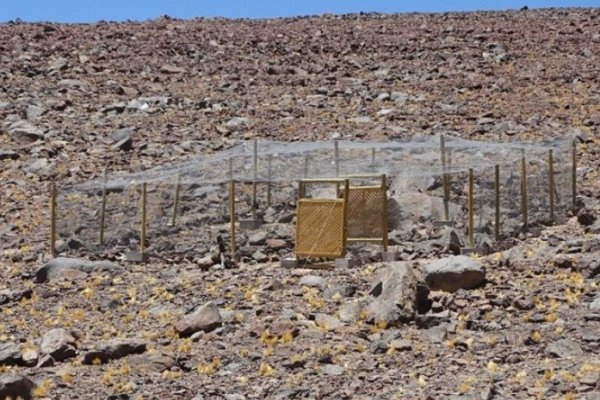 SMA extiende suspensión transitoria de actividades de movimiento de material en área de proyecto Salares Norte
