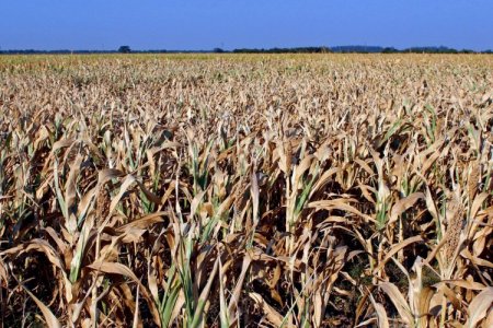 Fenómeno de La Niña en Latinoamérica: Argentina y Brasil serían los más afectados por sequías, según Capital Economics