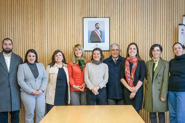 <p>La ministra de Ciencia Aisén Etcheverry y la senadora Ximena Rincón, junto a los líderes de las submesas de IA.</p>