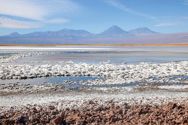 Comunidad de Coyo dice que acuerdo Codelco-SQM "vulnera gravemente" los "derechos humanos, ecosistema y cuencas" del Salar de Atacama