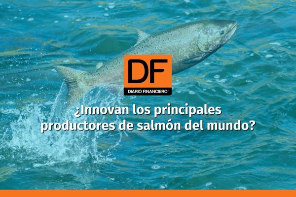 <p>DATA DF | Cómo innovan las empresas salmoneras locales: escasas patentes, pero con proyectos de I+D</p>