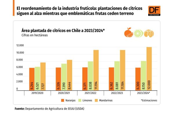 <p>DATA DF | El reordenamiento de la industria frutícola: plantaciones de cítricos siguen al alza mientras que emblemáticas frutas ceden terreno</p>