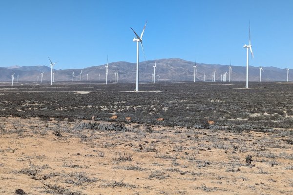 <p>Colbún acuerda compra de parques eólicos de Latin America Power por más de US$ 400 millones</p>