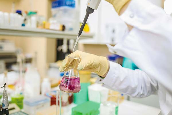 <p>Radiografía Hubtec: Minería y alimentos lideran avance en I+D con apoyo de instrumentos públicos</p>